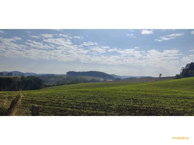 ÁREA DE TERRA - INTERIOR