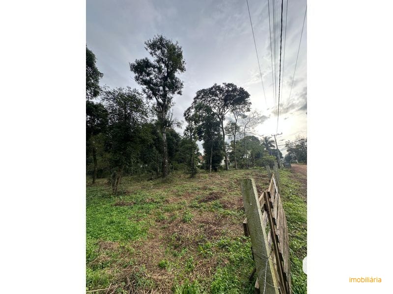 TERRENO - ENGENHO BRAUN 3