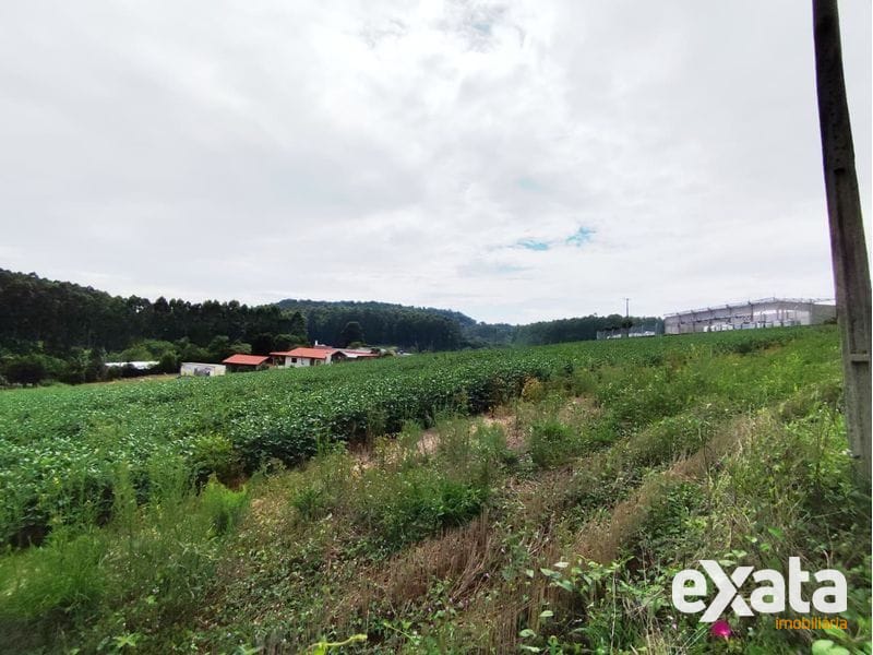 ÁREA COMERCIAL - TREVO 5