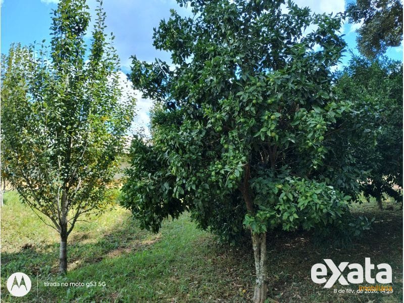 SITIO - LINHA COLÔNIA BACIA 27