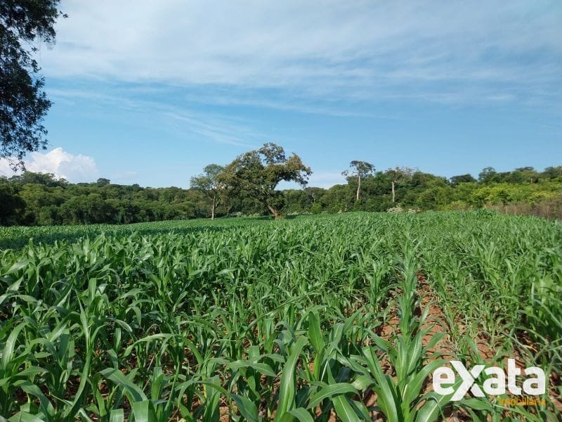 SITIO - FAZENDA ZANDAVALI 4