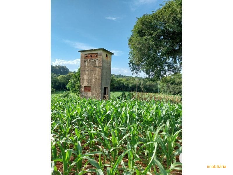 SITIO - FAZENDA ZANDAVALI 6