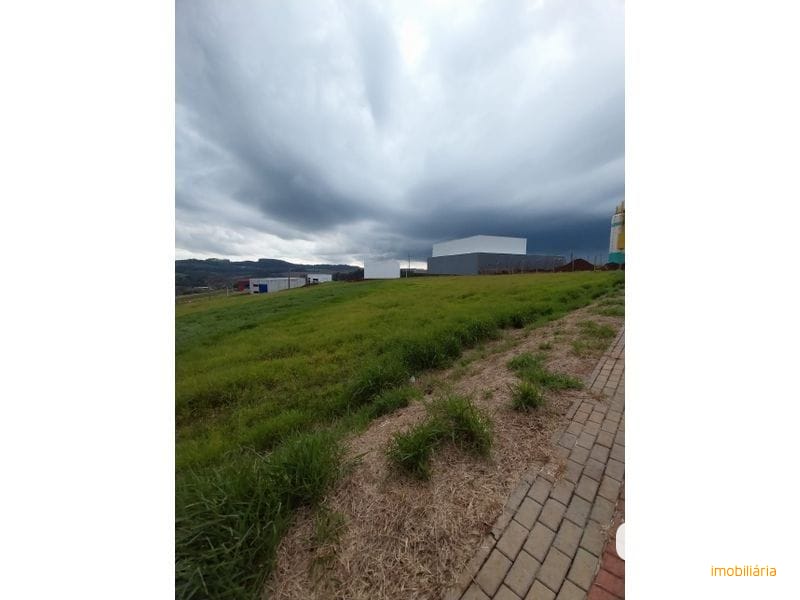 TERRENO - BELVEDERE
