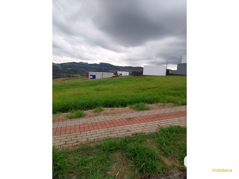 TERRENO - BELVEDERE 3