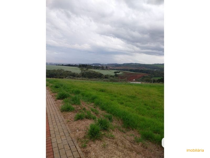 TERRENO - BELVEDERE 5