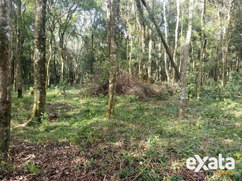 SITIO - FAZENDA ZANDAVALI 5