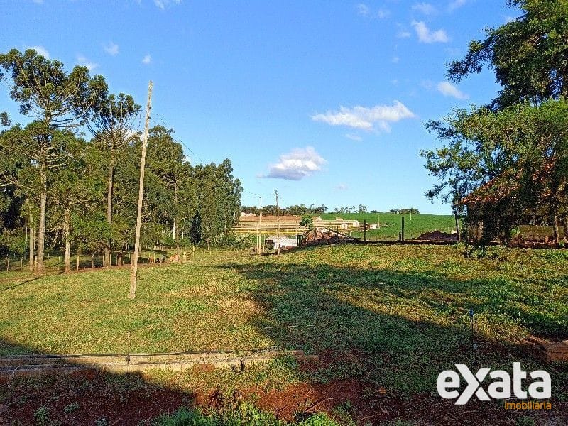 ÁREA COMERCIAL - SEDE FIGUEIRA 3