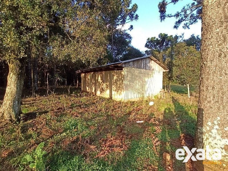 ÁREA COMERCIAL - SEDE FIGUEIRA 14