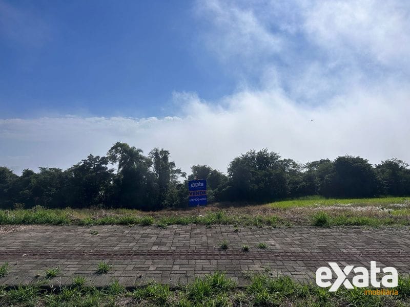 TERRENO - DESBRAVADOR