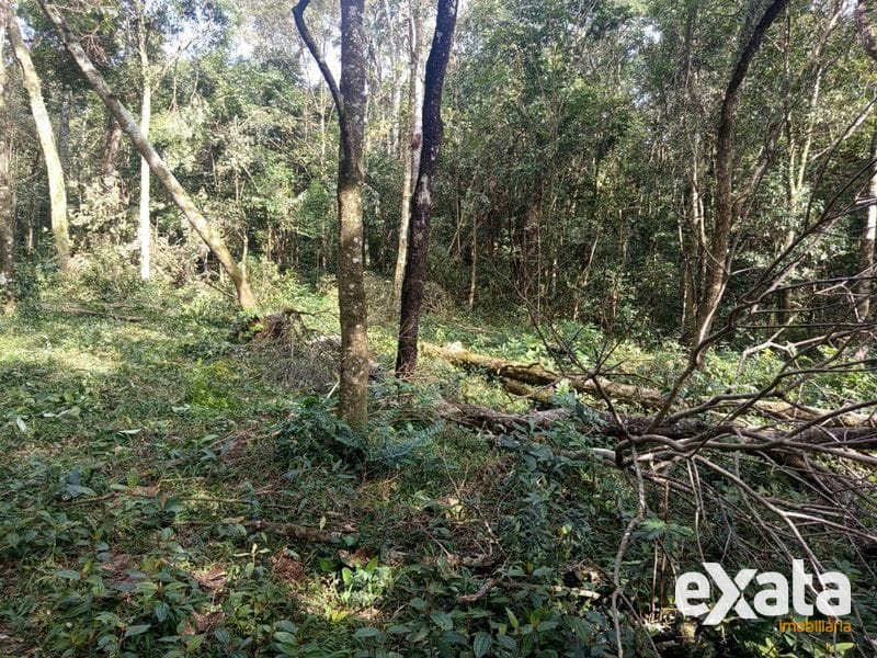 CHÁCARA - FAZENDA ZANDAVALI 4