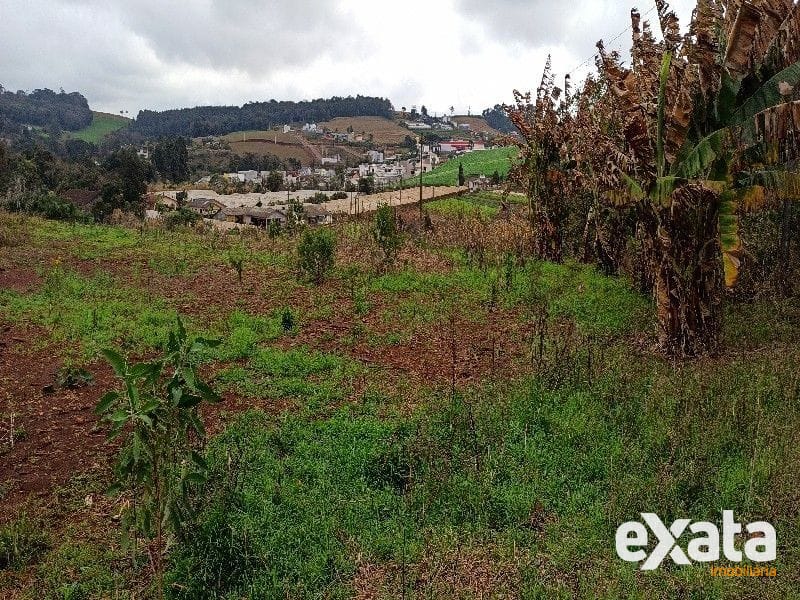 ÁREA DE TERRA - VILA REAL 8