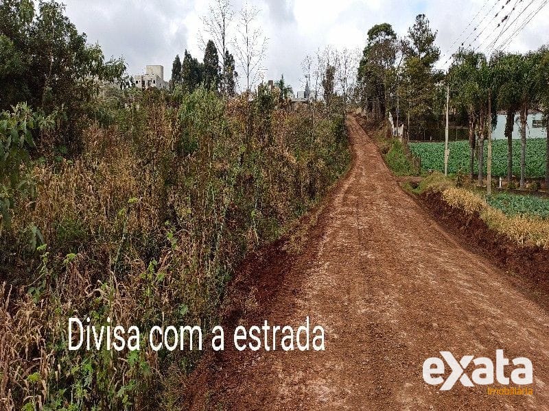 ÁREA DE TERRA - VILA REAL 15