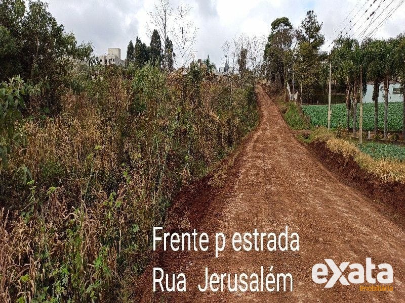 ÁREA DE TERRA - VILA REAL 16