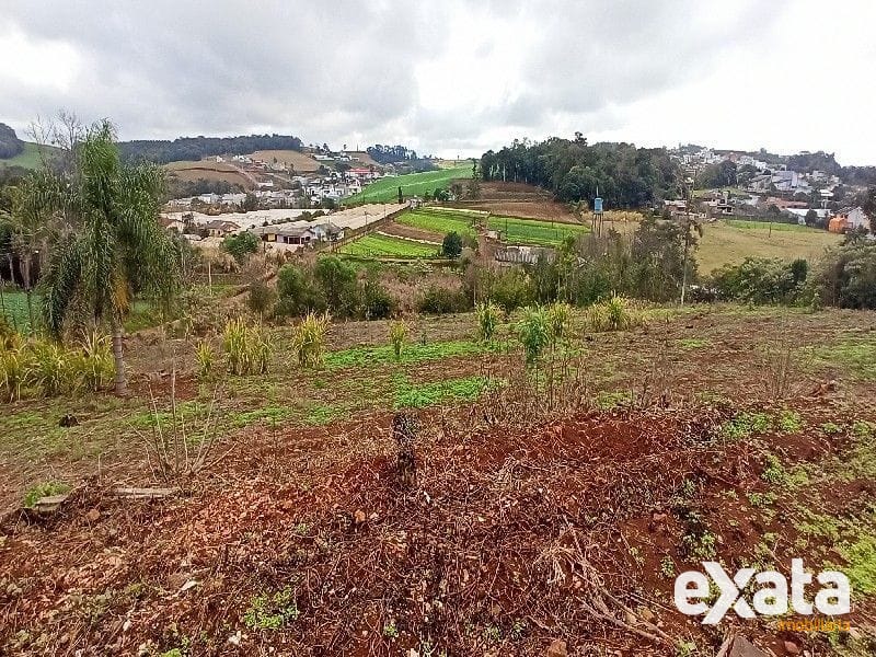 ÁREA DE TERRA - VILA REAL 18