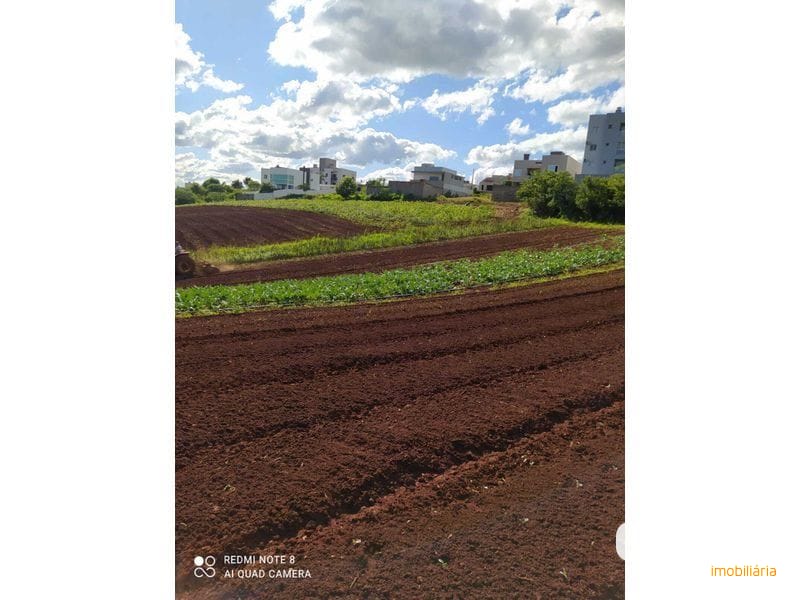 ÁREA DE TERRA - DESBRAVADOR