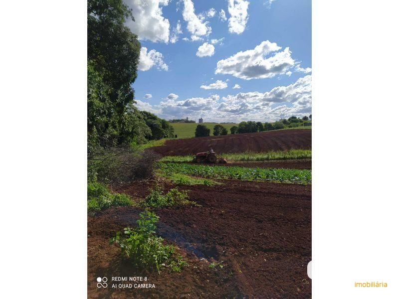 ÁREA DE TERRA - DESBRAVADOR 3