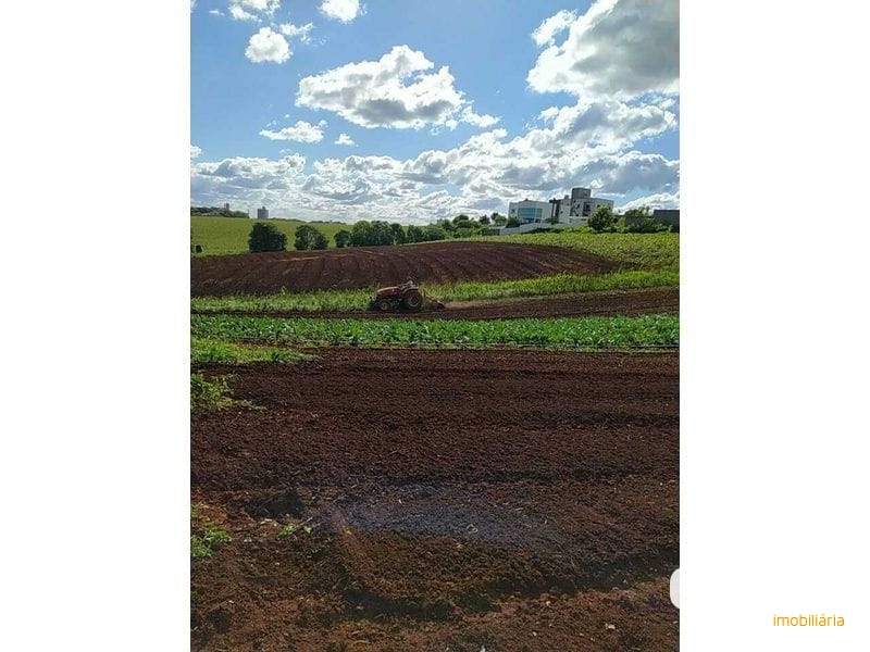 ÁREA DE TERRA - DESBRAVADOR 4