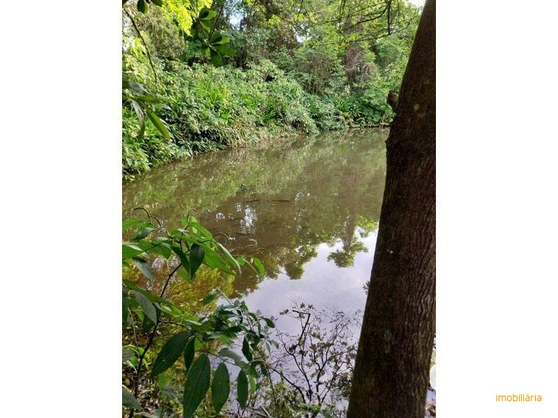 SITIO - LINHA SIMONETO 8