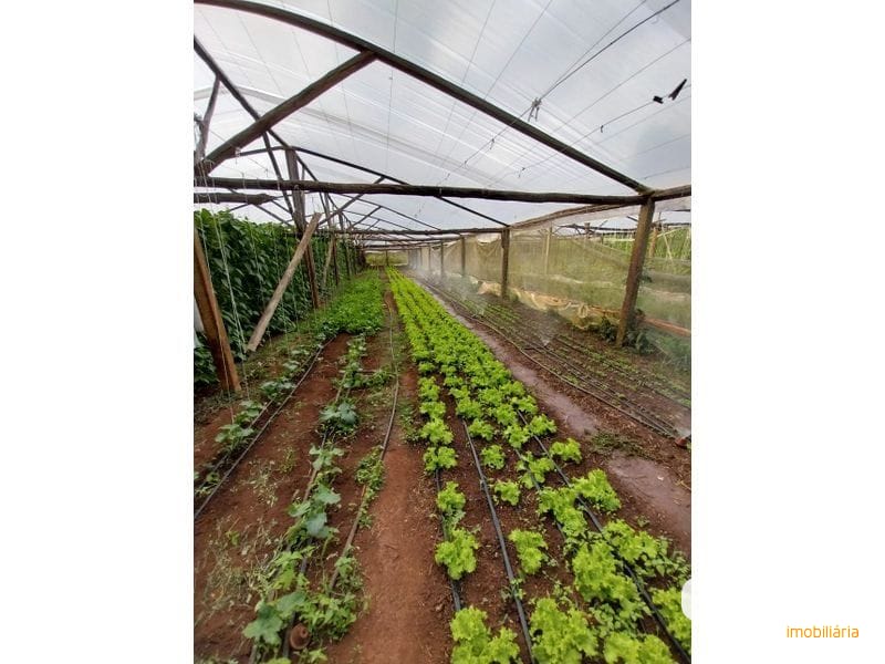 SITIO - LINHA SIMONETO 14