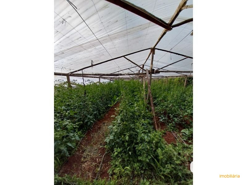 SITIO - LINHA SIMONETO 16