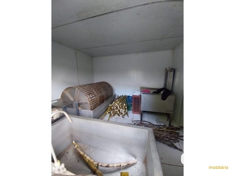 SITIO - LINHA SIMONETO 19