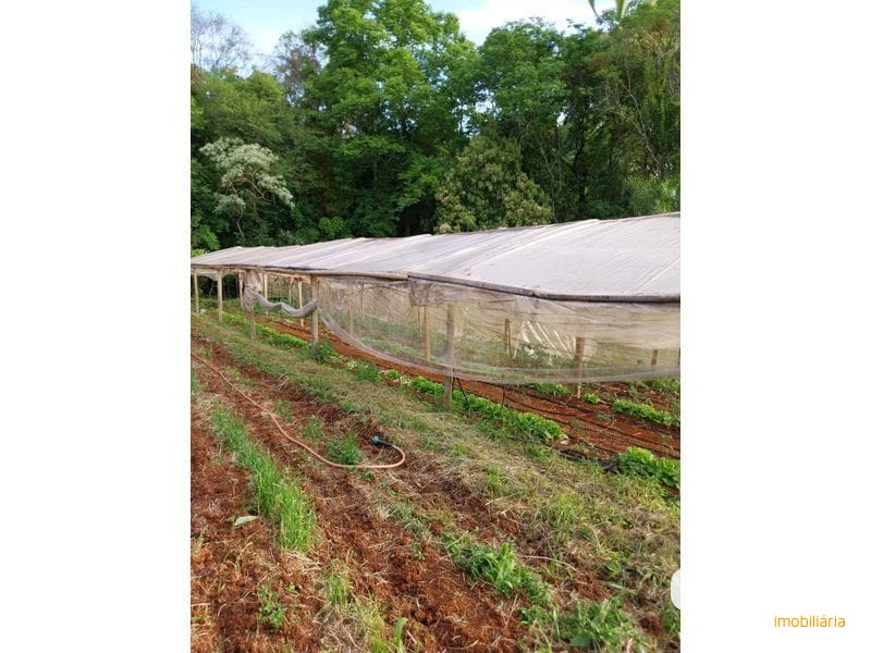 SITIO - LINHA SIMONETO 21