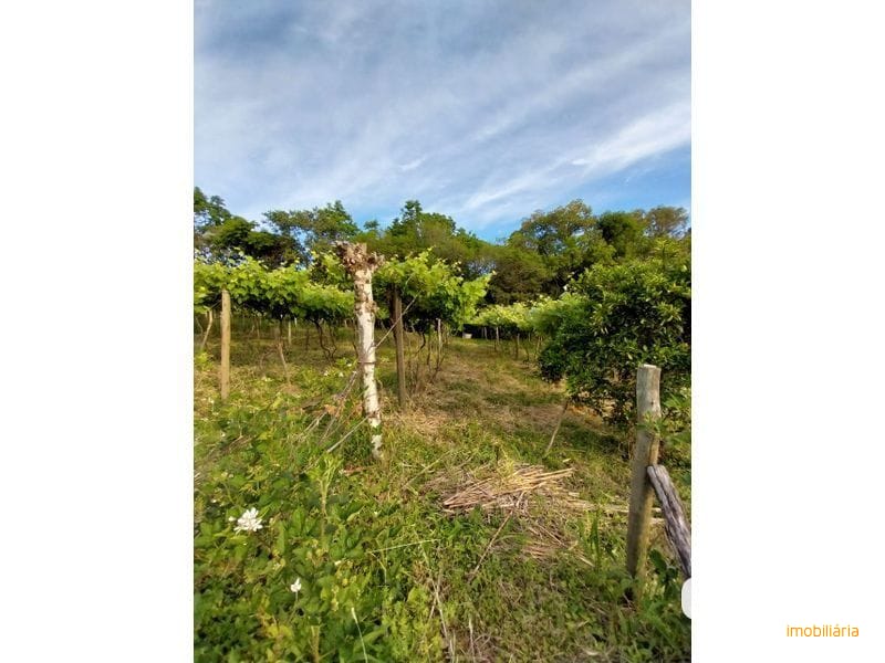 SITIO - LINHA SIMONETO 23