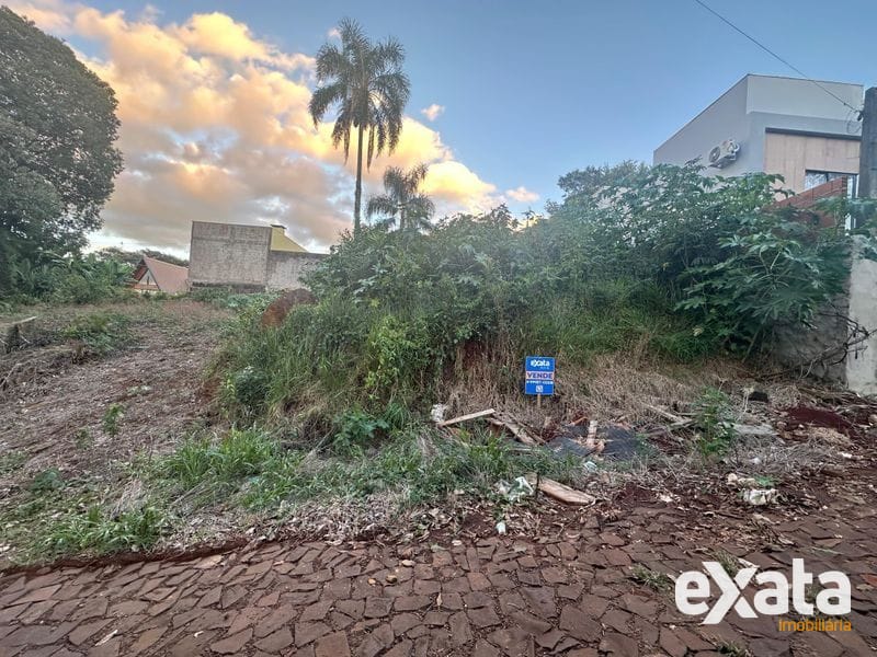 TERRENO - TREVO - RUA OTÁVIO CAMPAGNONI 3