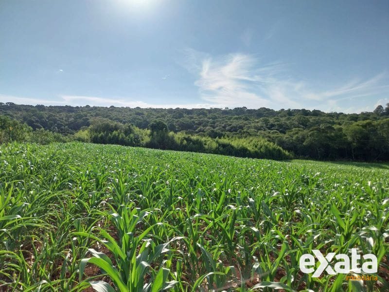 ÁREA DE TERRA - FAZENDA ZANDAVALI