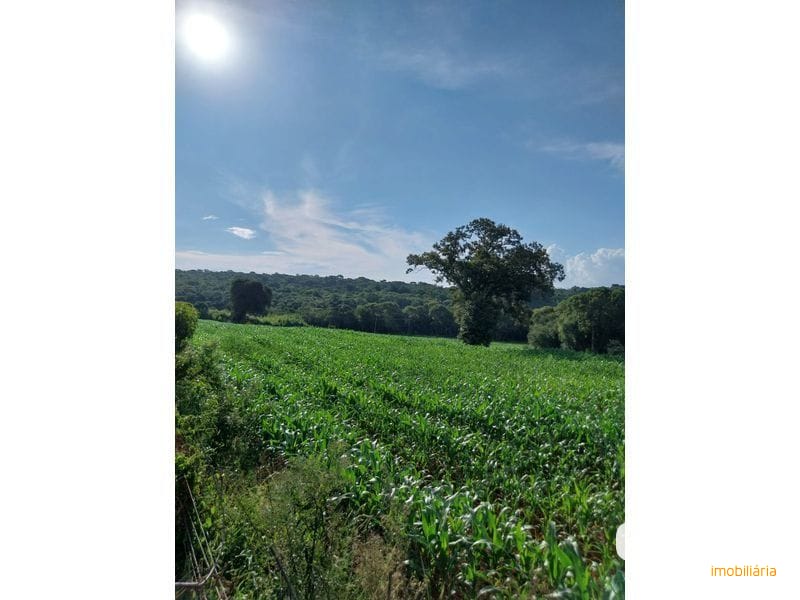 ÁREA DE TERRA - FAZENDA ZANDAVALI 3