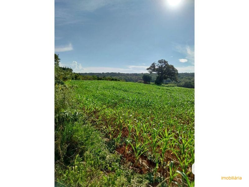 ÁREA DE TERRA - FAZENDA ZANDAVALI 5