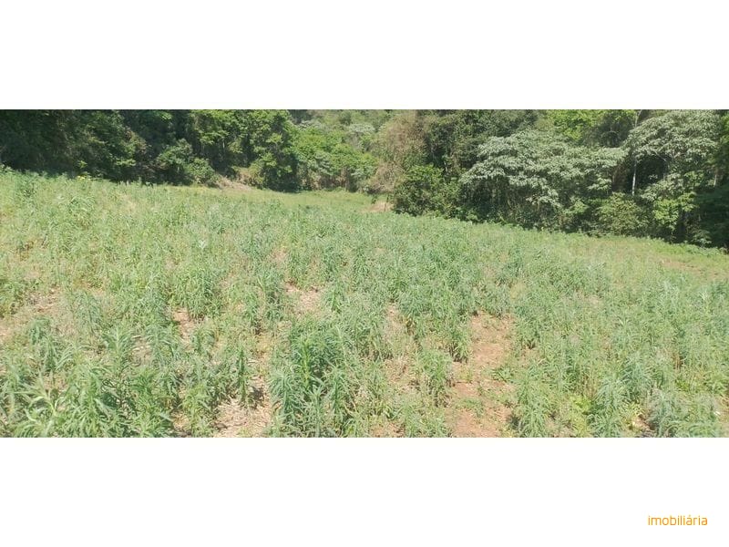 CHÁCARA - ARVOREDO 5