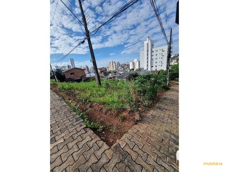 TERRENO - SANTA MARIA 11