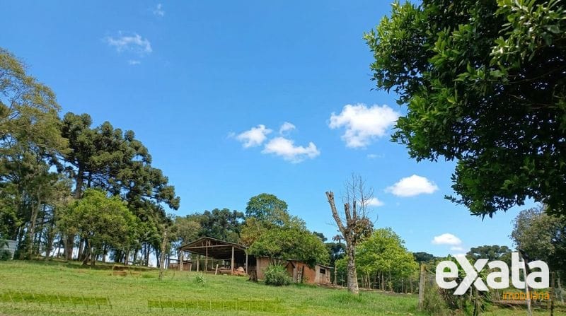 ÁREA DE TERRA À VENDA NO MARECHAL BORMANN- CHAPECÓ SC 7