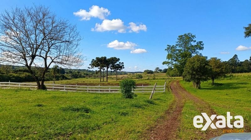 ÁREA DE TERRA À VENDA NO MARECHAL BORMANN- CHAPECÓ SC 4