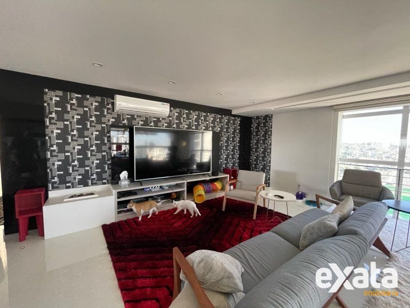 APARTAMENTO - MARIA GORETTI 3