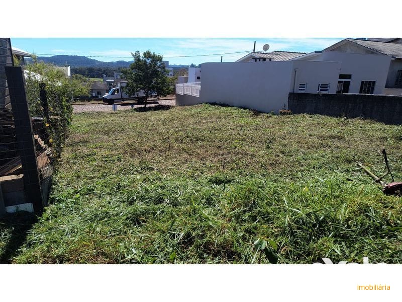 TERRENO - BELVEDERE 3