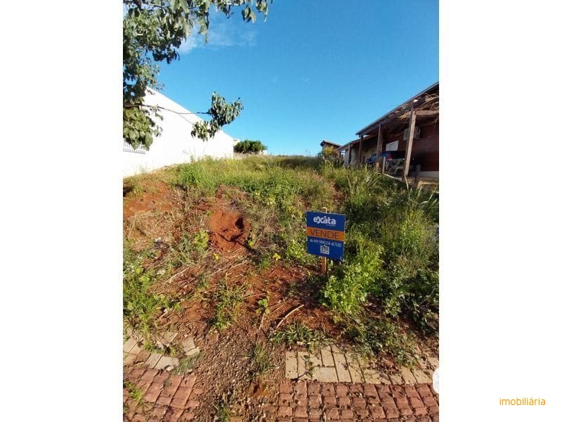 TERRENO - BELVEDERE 5