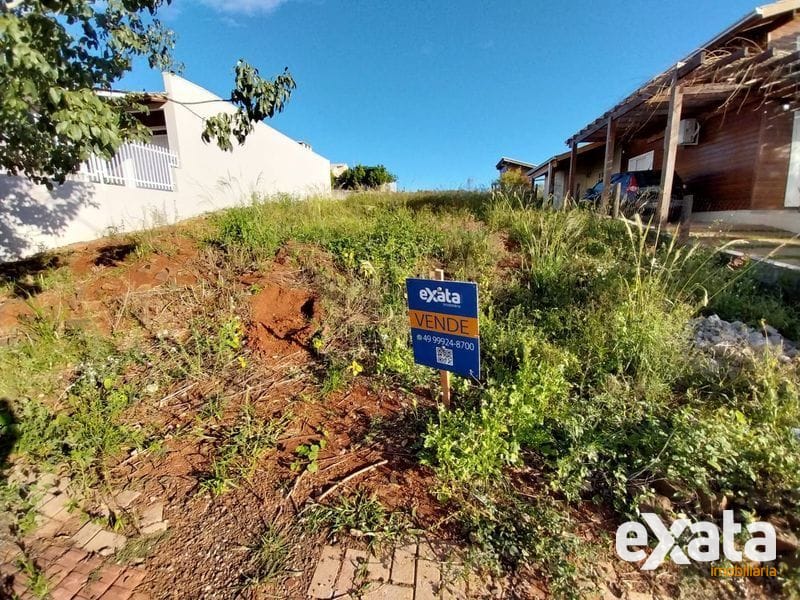 TERRENO - BELVEDERE 6