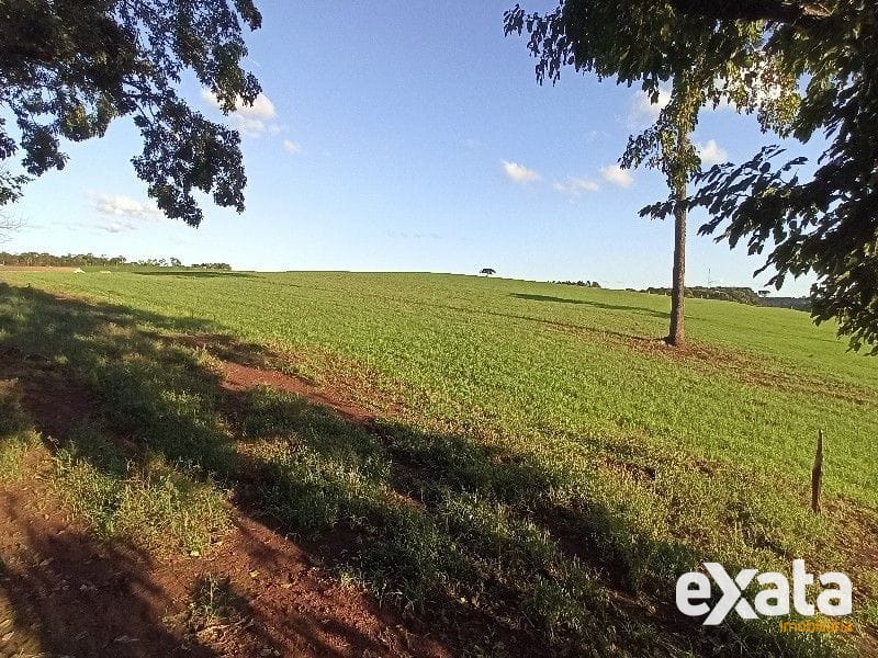 ÁREA DE TERRA - SEDE FIGUEIRA 5