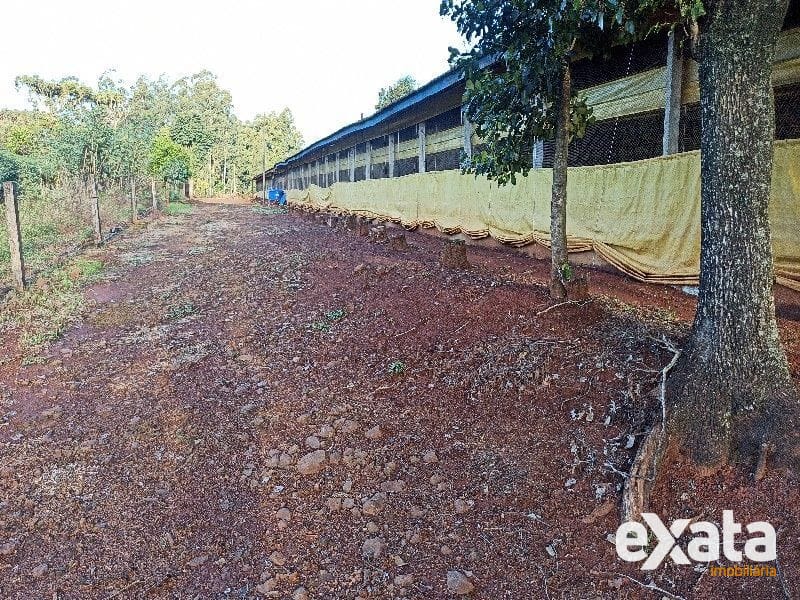 ÁREA DE TERRA - SEDE FIGUEIRA 13