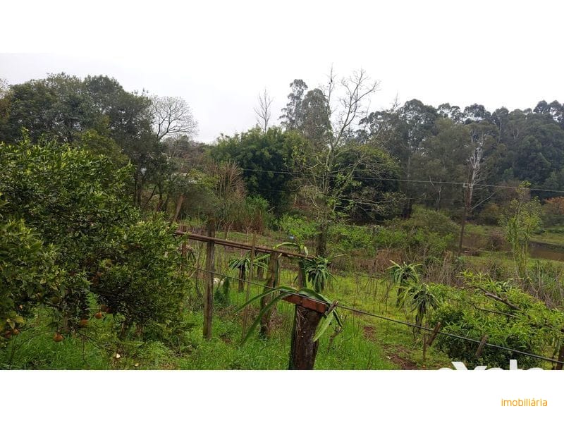 ÁREA DE TERRA - PALMITAL DOS FUNDOS 3