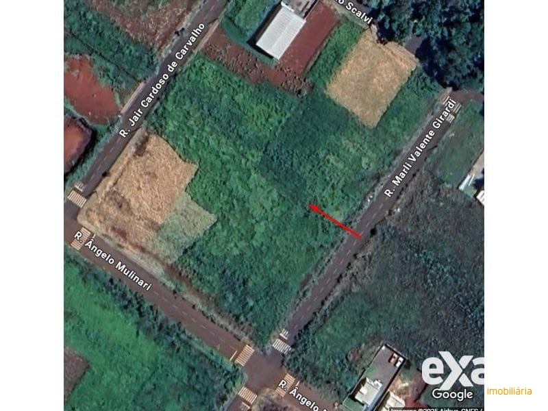 TERRENO - ARARAS 4