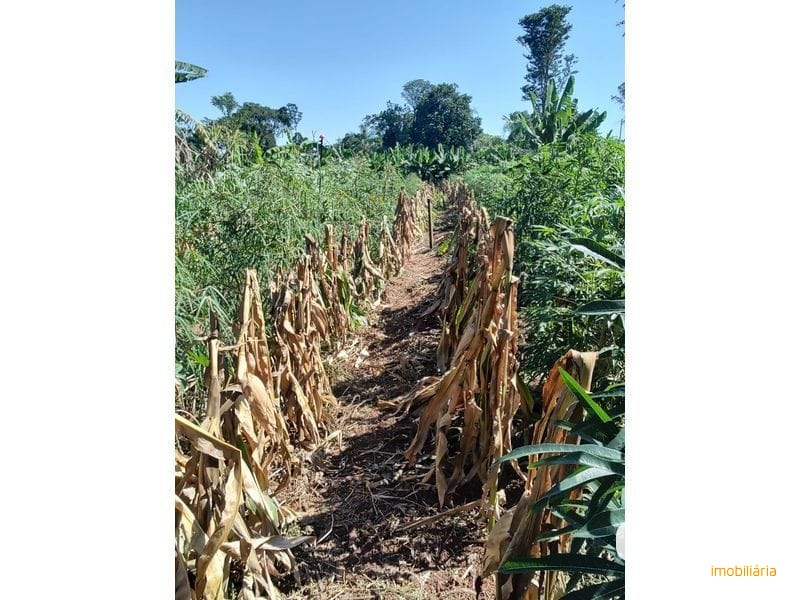 SITIO - MARECHAL BORMANN 5