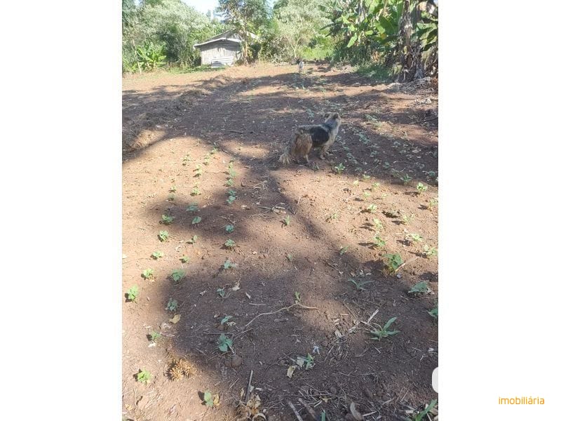 SITIO - MARECHAL BORMANN 8