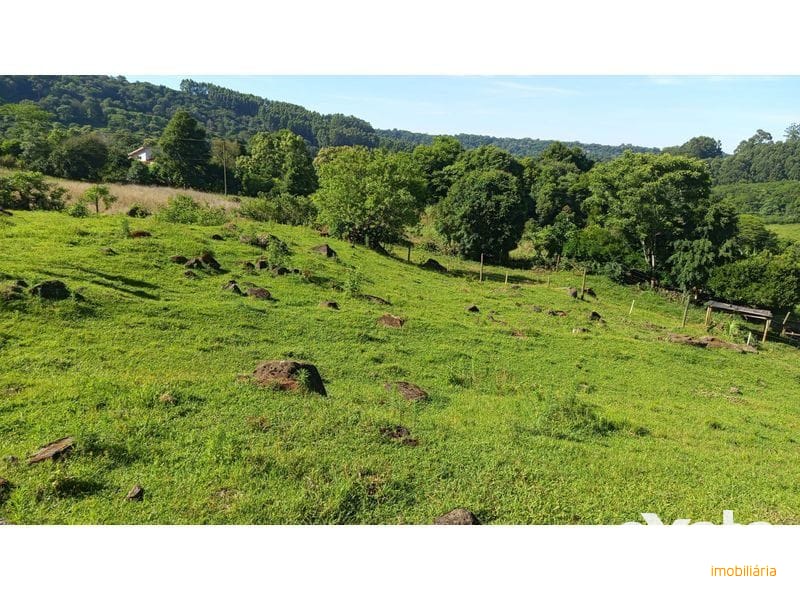 ÁREA DE TERRA - ZONA RURAL