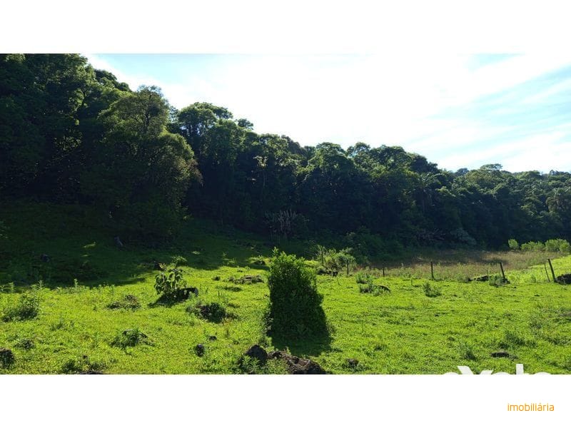 ÁREA DE TERRA - ZONA RURAL 5
