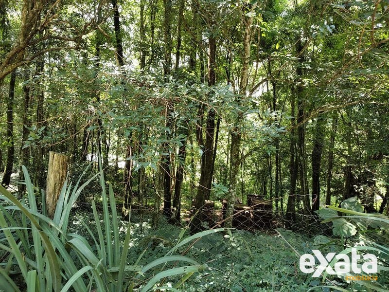 SITIO - INTERIOR 21