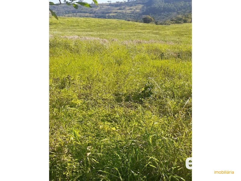 ÁREA DE TERRA - SESSÃO DOURADINHO 6