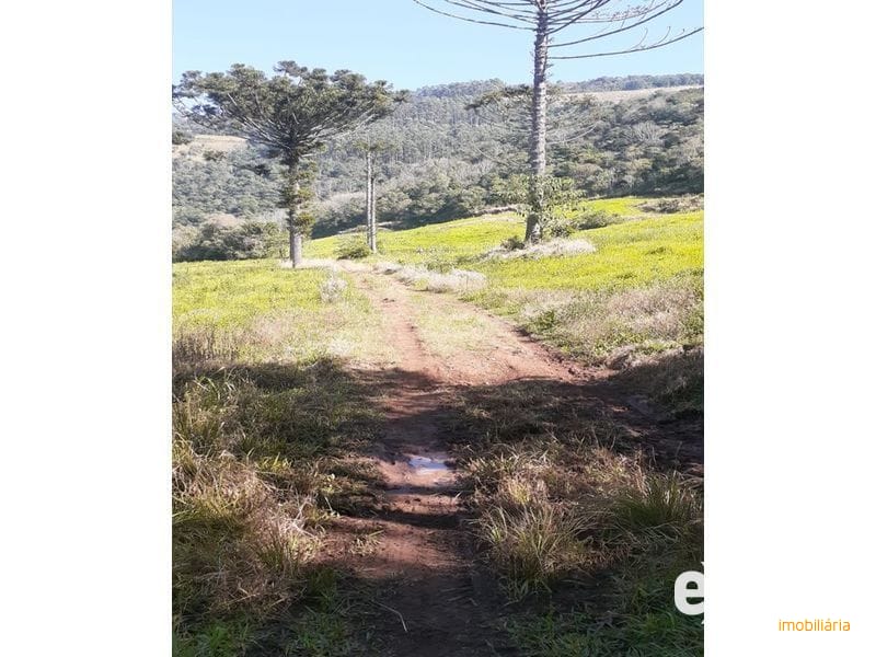 ÁREA DE TERRA - SESSÃO DOURADINHO 7